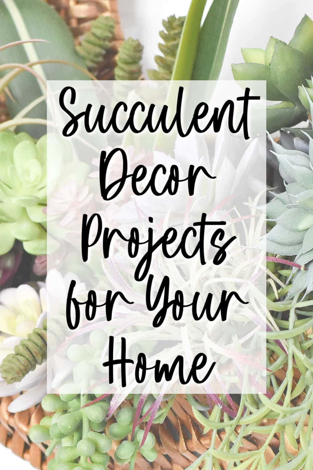 succulent decor ideas and projects