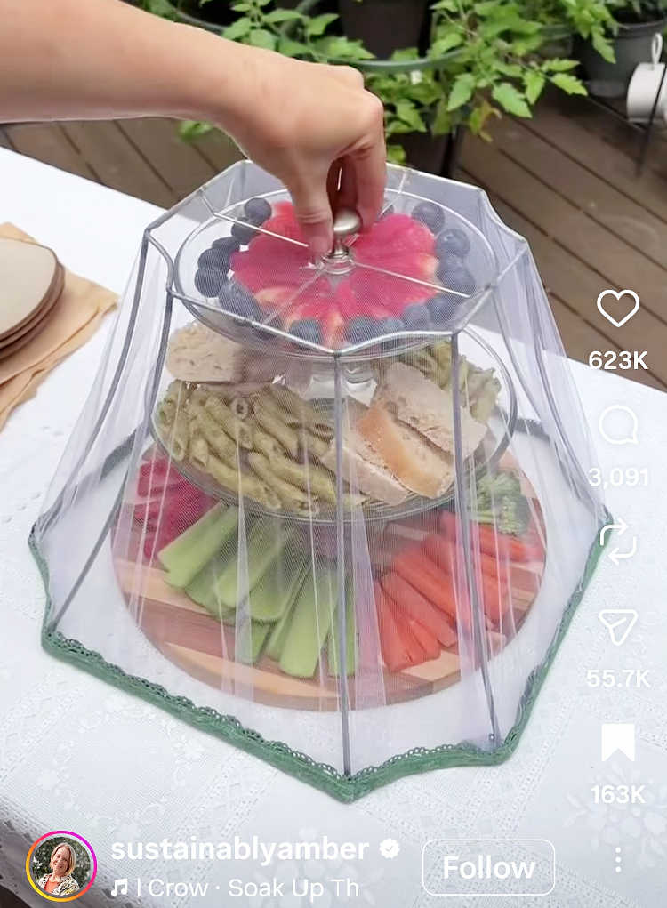 diy food cover from an upcycled lampshade