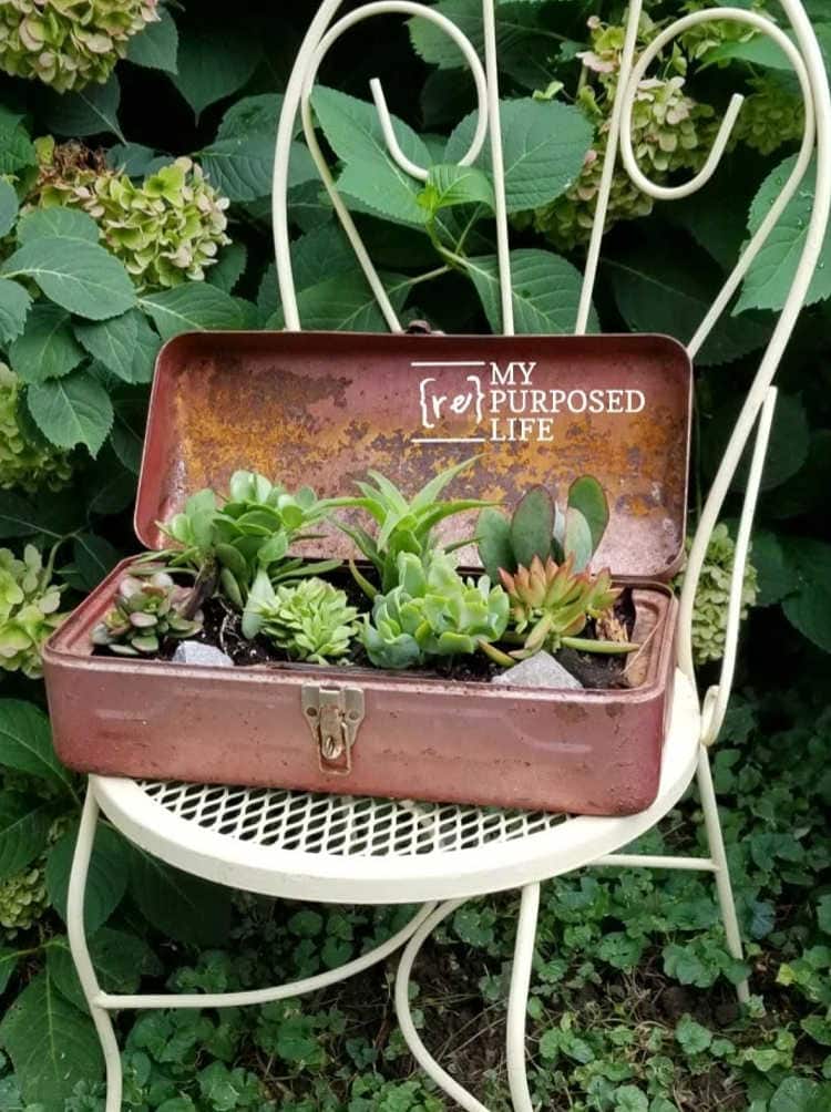 upcycle a vintage toolbox into a planter