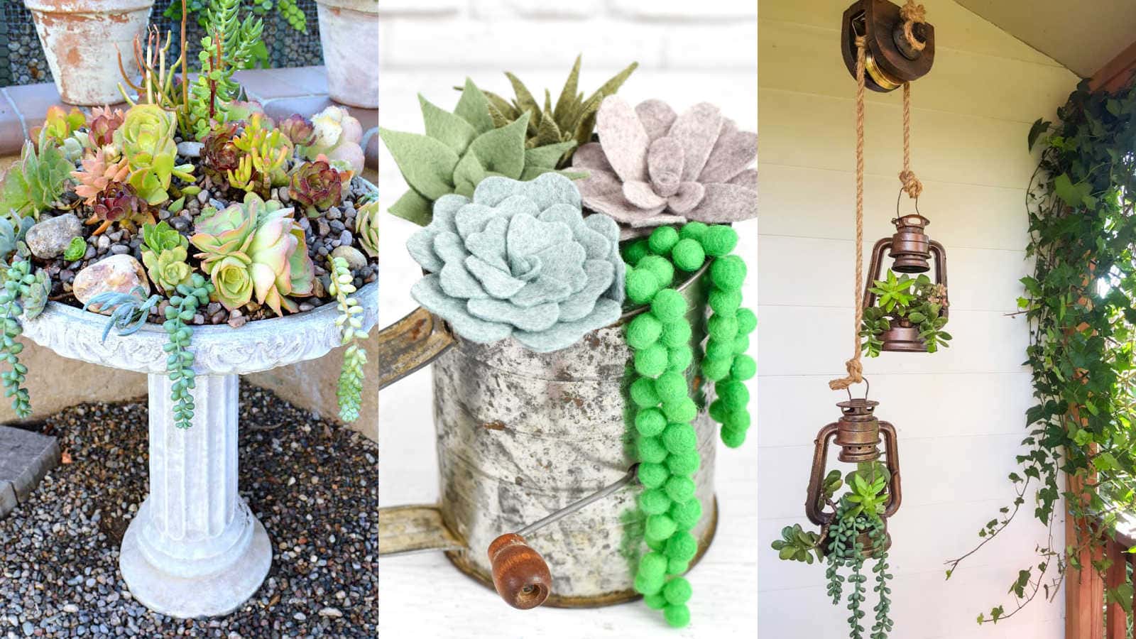Upcycle Projects for Succulent Decor