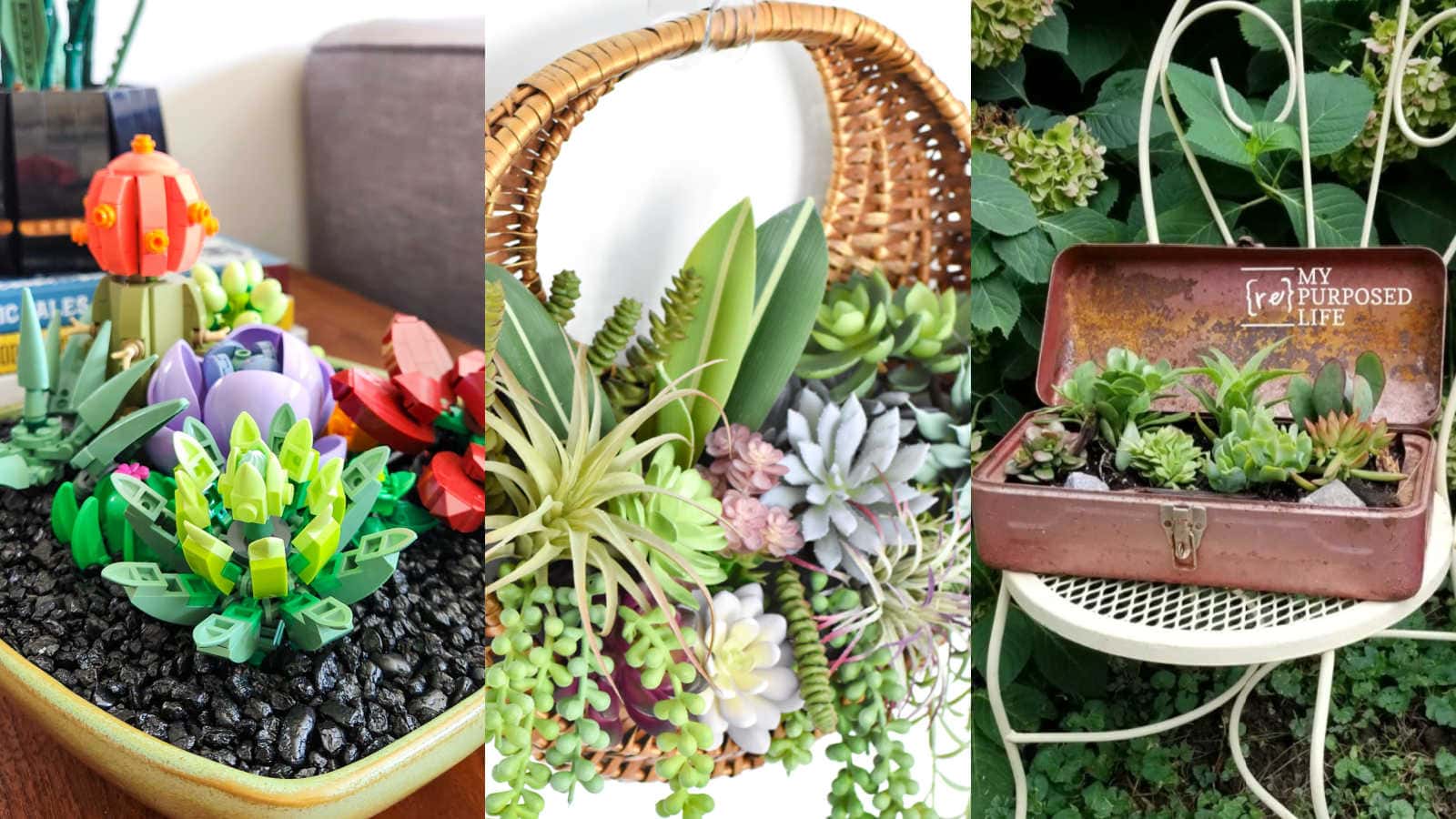 succulent decor projects and ideas