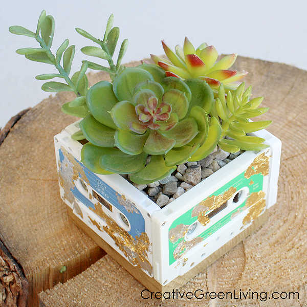 upcycled cassette tapes as a succulent planter